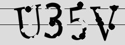 Retype the CAPTCHA code from the image